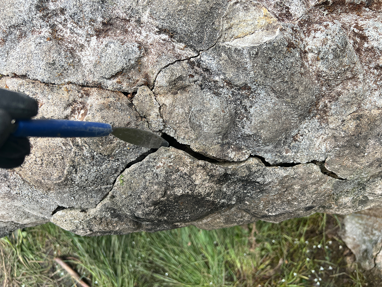 Schalenbildung: ein Anzeichen für einen Bruch