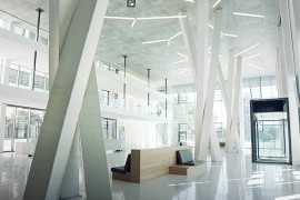 Betonbaume-Heilderberg-Materials